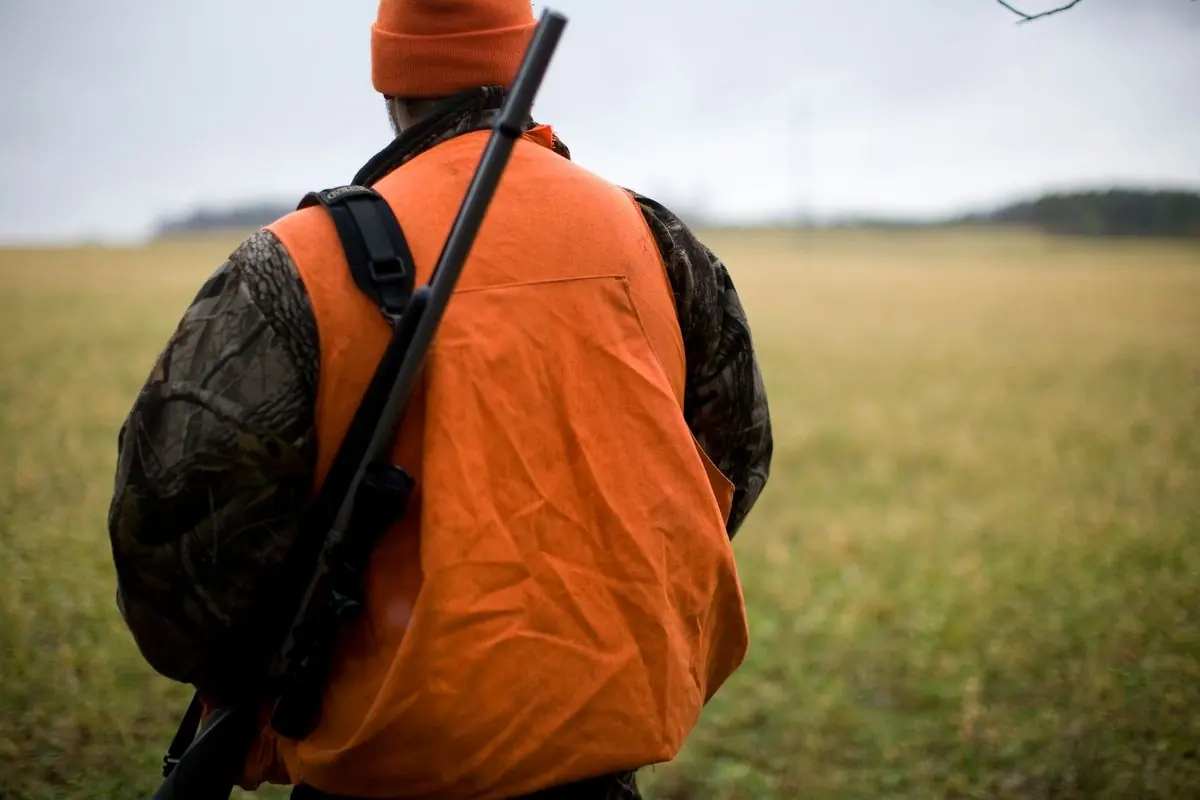 Hunter in blaze orange looking across an open field